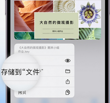 五峰apple维修中心分享iPhone文件应用中存储和找到下载文件