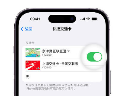 五峰apple维修点分享iPhone上更换Apple Pay快捷交通卡手绘卡面 