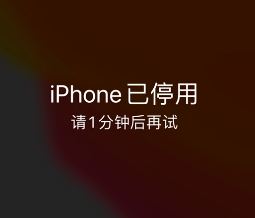 五峰苹果手机维修分享:iPhone 显示“不可用”或“已停用”怎么办？还能保留数据吗？ 