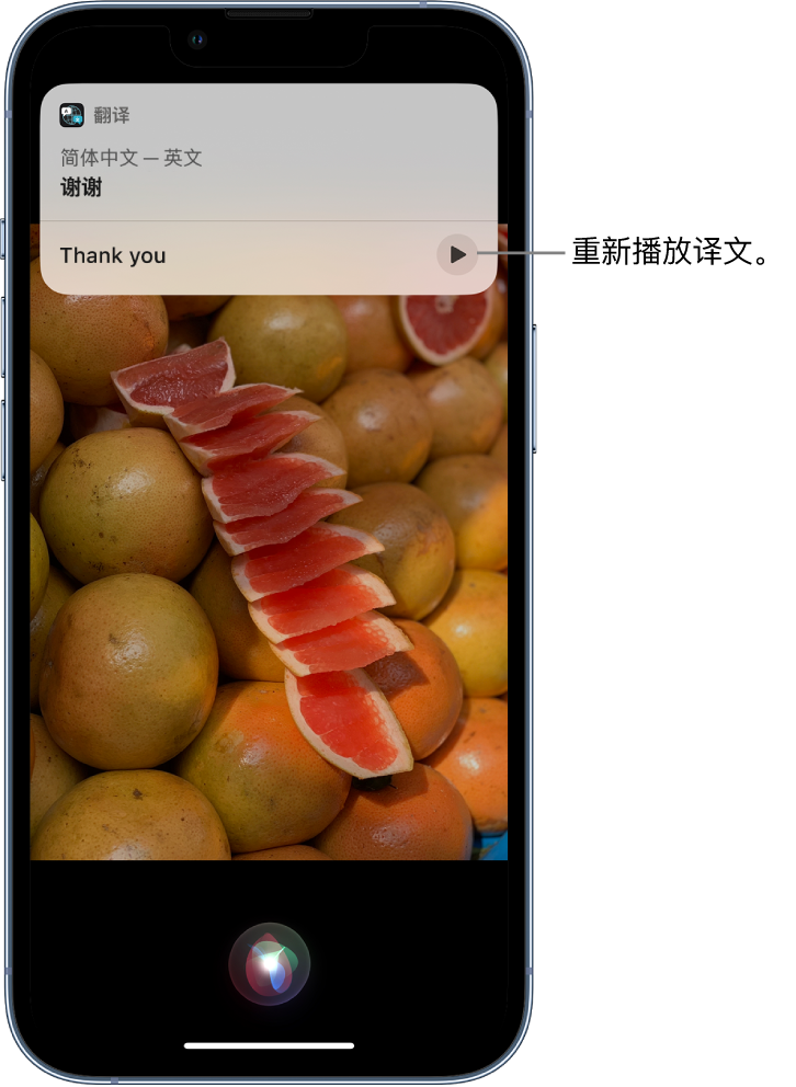 五峰苹果14维修分享 iPhone 14 机型中使用 Siri：了解 Siri 能帮你做什么 