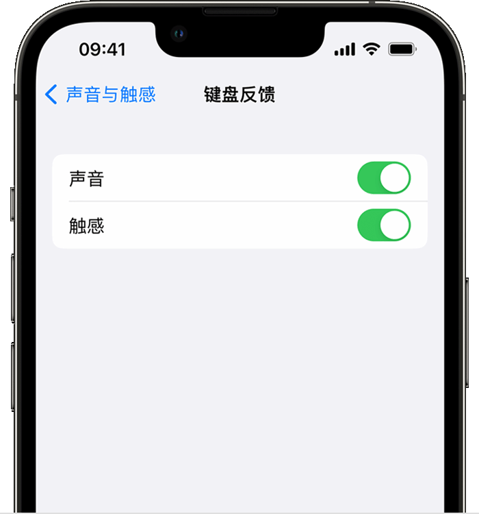 五峰苹果14维修分享iPhone 14 系列机型如何开启键盘声音或触感反馈 