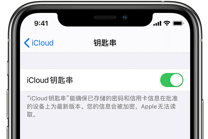 五峰苹果手机维修分享在 iPhone 上开启 iCloud 钥匙串之后会储存哪些信息 