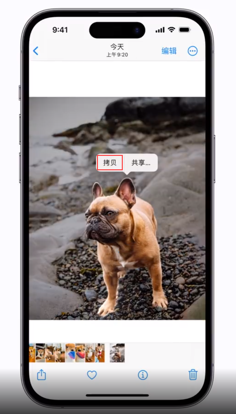 五峰苹果手机维修分享 iOS 16 自带一键抠图功能 